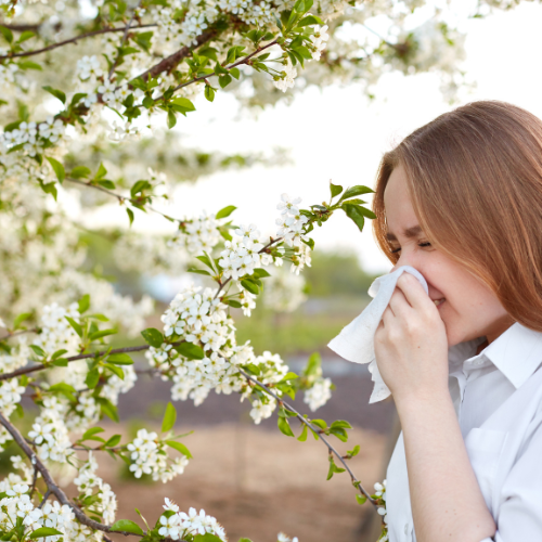 Aromaterapia si astenia de primavera1