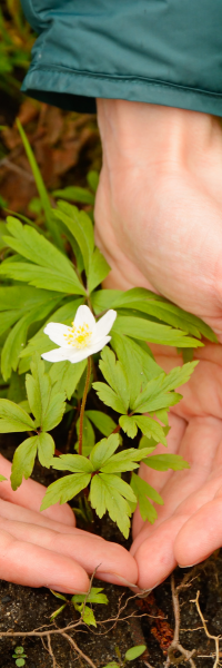 Conexiunea spiritului cu natura 2