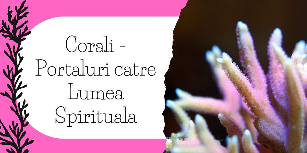 Corali - Portaluri catre Lumea Spirituala