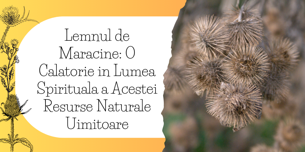 Lemnul de Maracine O Calatorie in Lumea Spirituala a Acestei Resurse Naturale Uimitoare