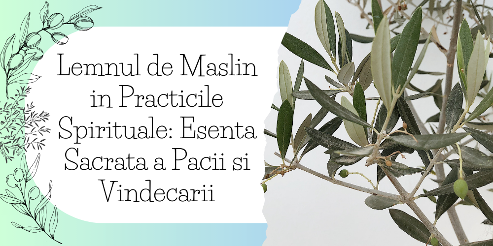 Lemnul de Maslin in Practicile Spirituale Esenta Sacrata a Pacii si Vindecarii