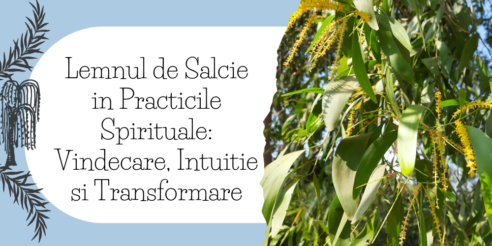 Lemnul de Salcie in Practicile Spirituale Vindecare, Intuitie si Transformare