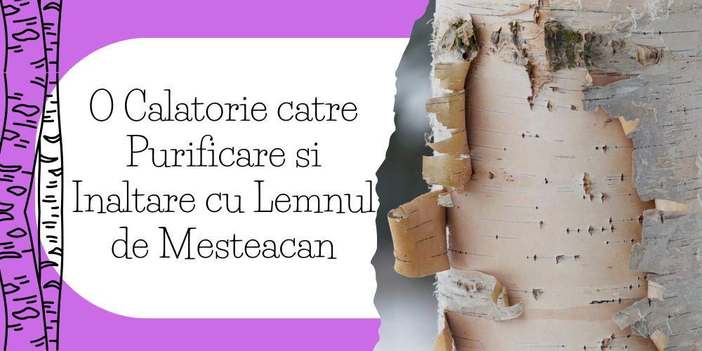 O Calatorie catre Purificare si Inaltare cu Lemnul de Mesteacan