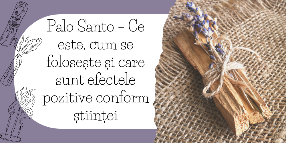 Palo Santo – Ce este, cum se folosește și care sunt efectele pozitive conform științei