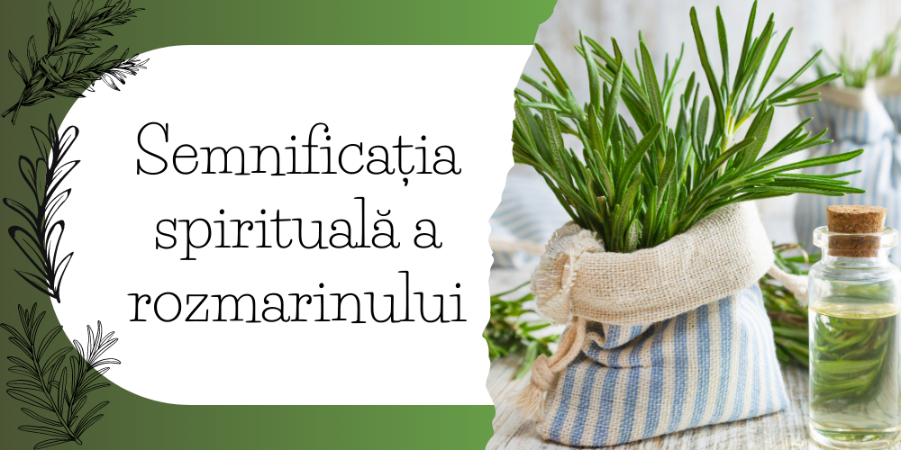 Semnificația spirituală a rozmarinului