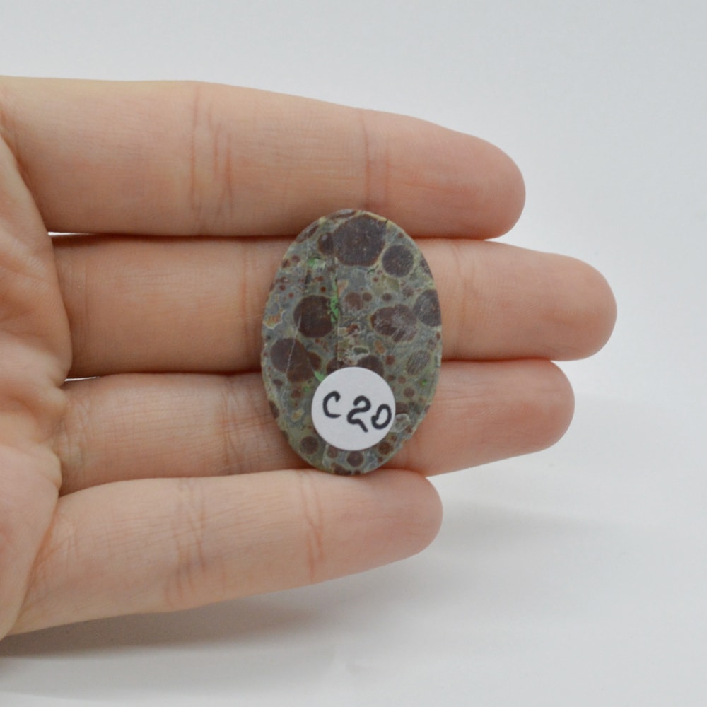 Cabochon jasp asteroid 32x22x4mm c20 - 1 | YEO