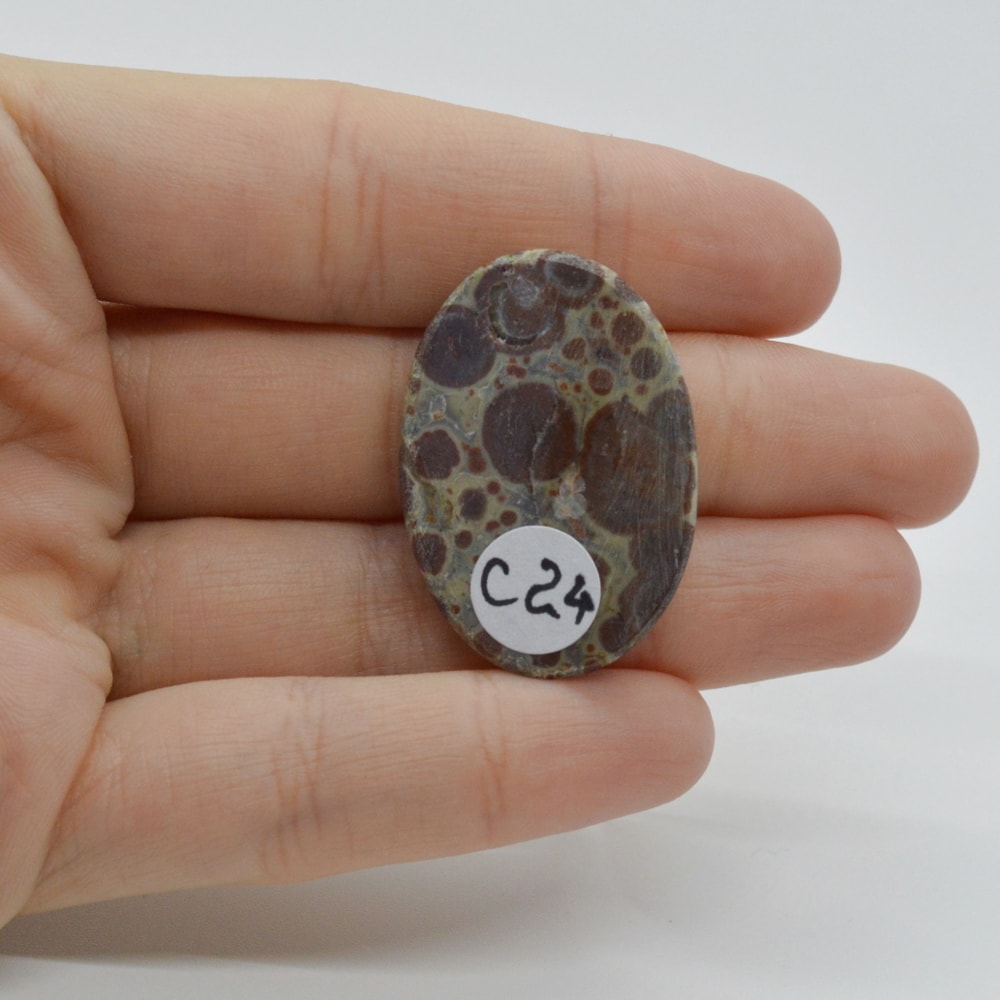 Cabochon jasp asteroid 33x23x6mm c24 - 1 | YEO