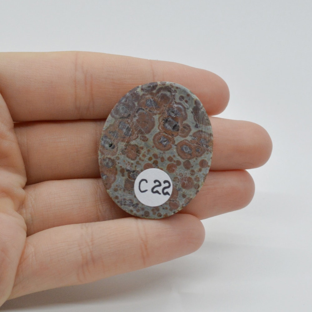 Cabochon jasp asteroid 37x30x7mm c22 - 1 | YEO