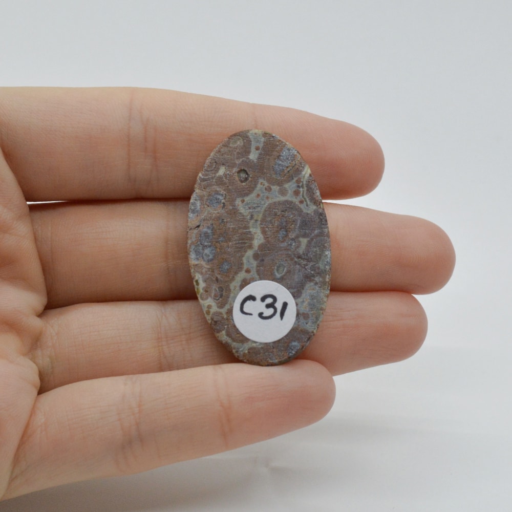 Cabochon jasp asteroid 39x23x6mm c31 - 1 | YEO