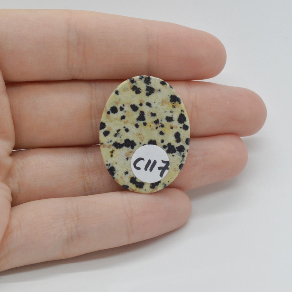 Cabochon jasp dalmatian 30x23x6mm c117 - 1 | YEO