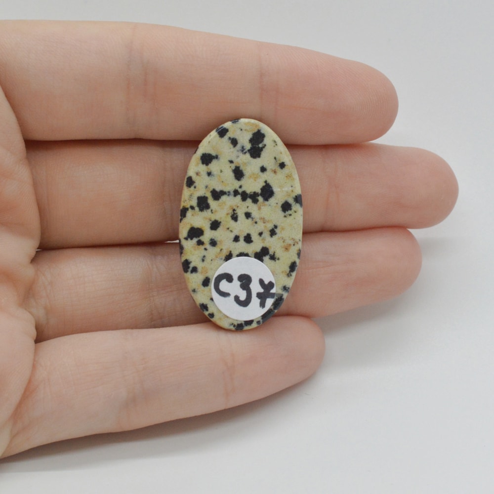 Cabochon jasp dalmatian 33x19x6mm c37 - 1 | YEO