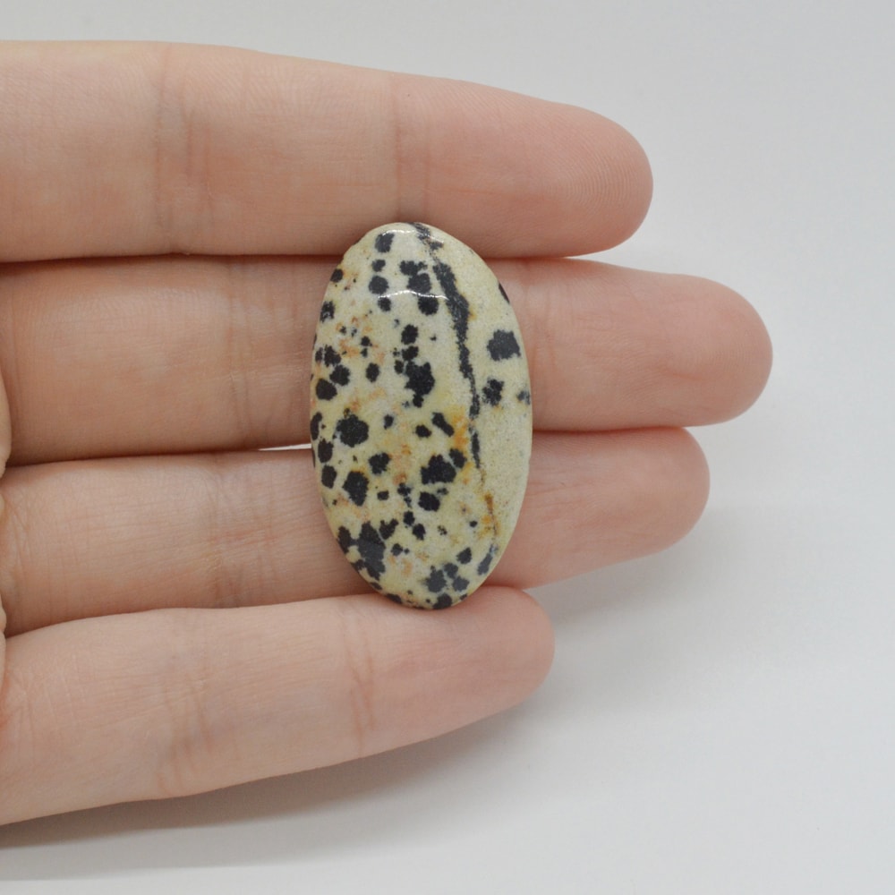 Cabochon jasp dalmatian 33x19x6mm c39