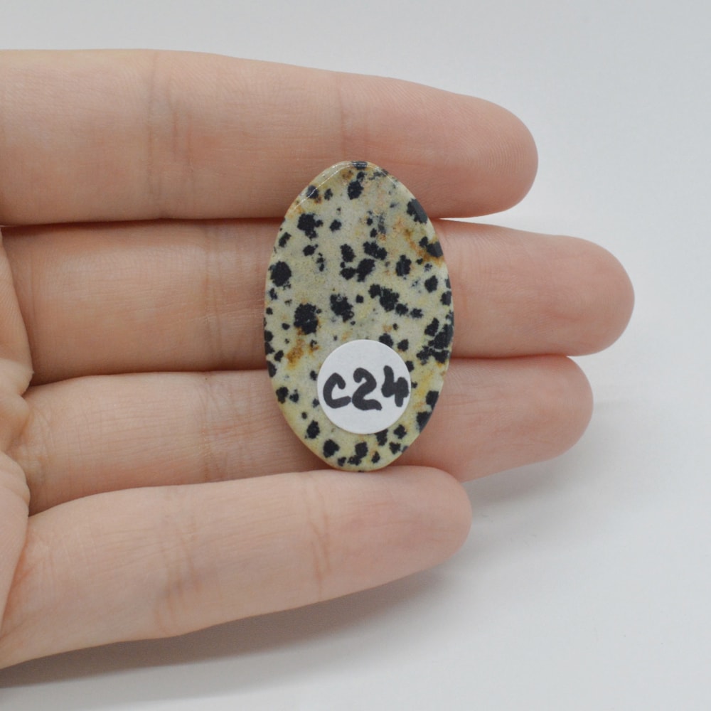 Cabochon jasp dalmatian 33x20x6mm c24 - 1 | YEO