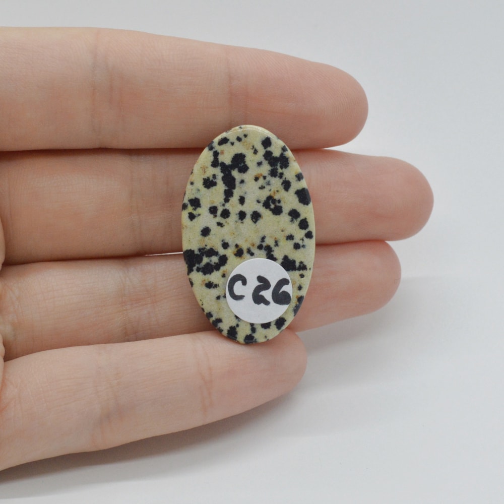 Cabochon jasp dalmatian 33x20x6mm c26 - 1 | YEO