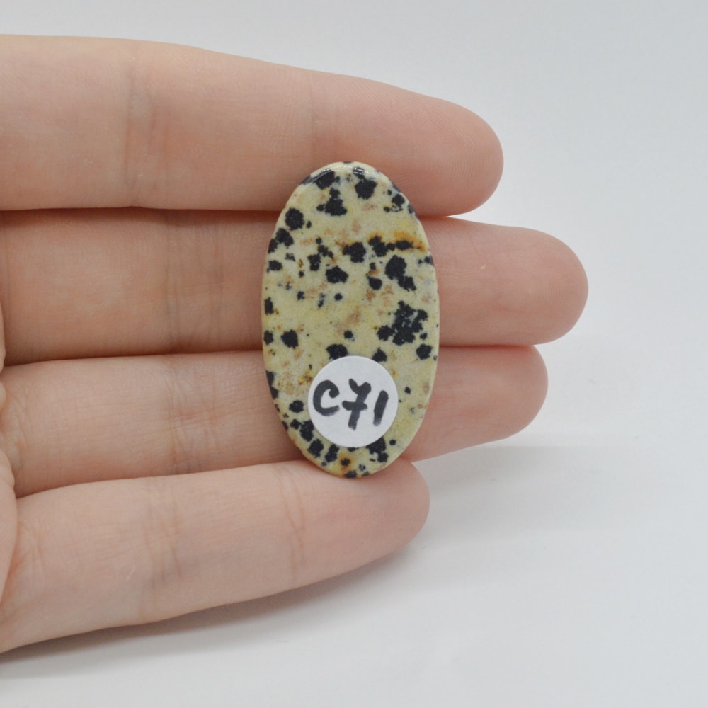 Cabochon jasp dalmatian 35x20x5mm c71 - 1 | YEO