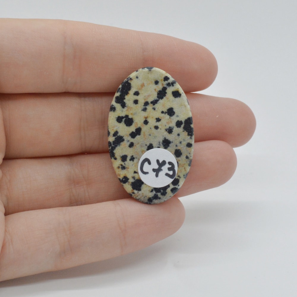 Cabochon jasp dalmatian 35x22x6mm c73 - 1 | YEO