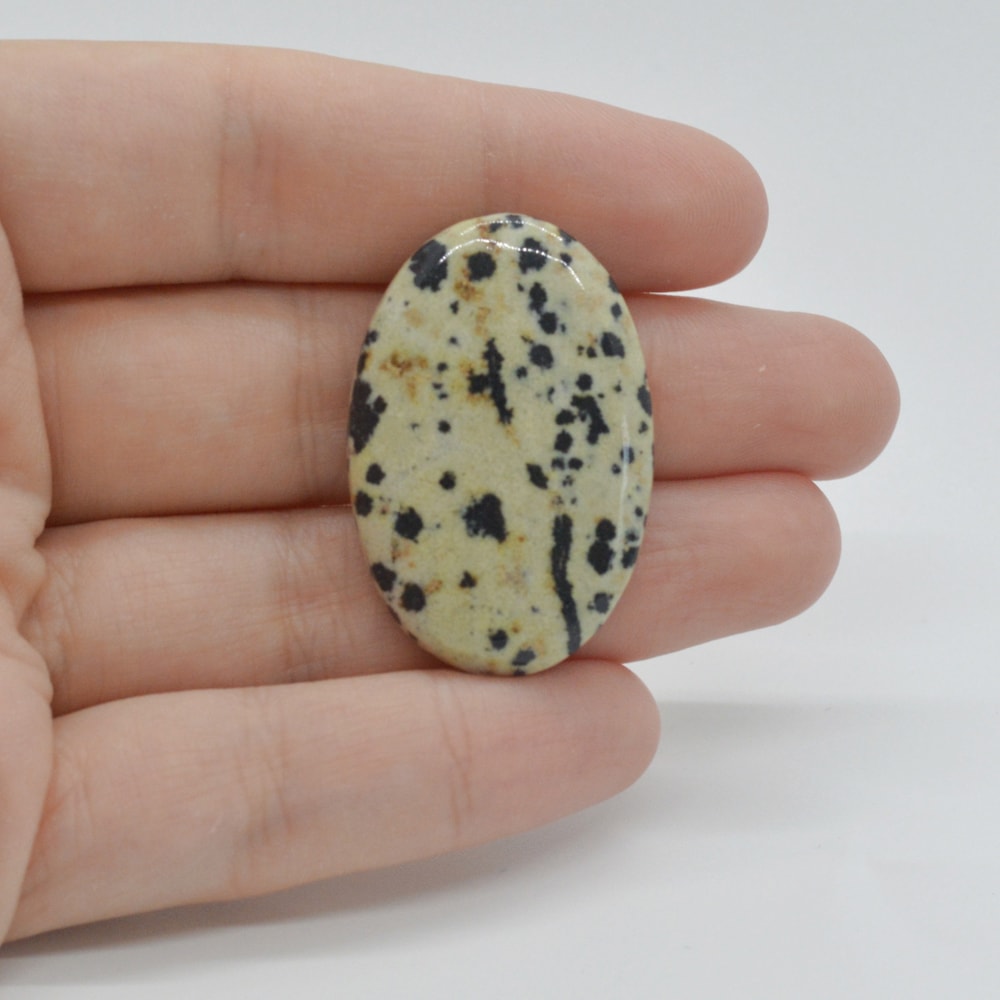 Cabochon jasp dalmatian 35x23x5mm c68