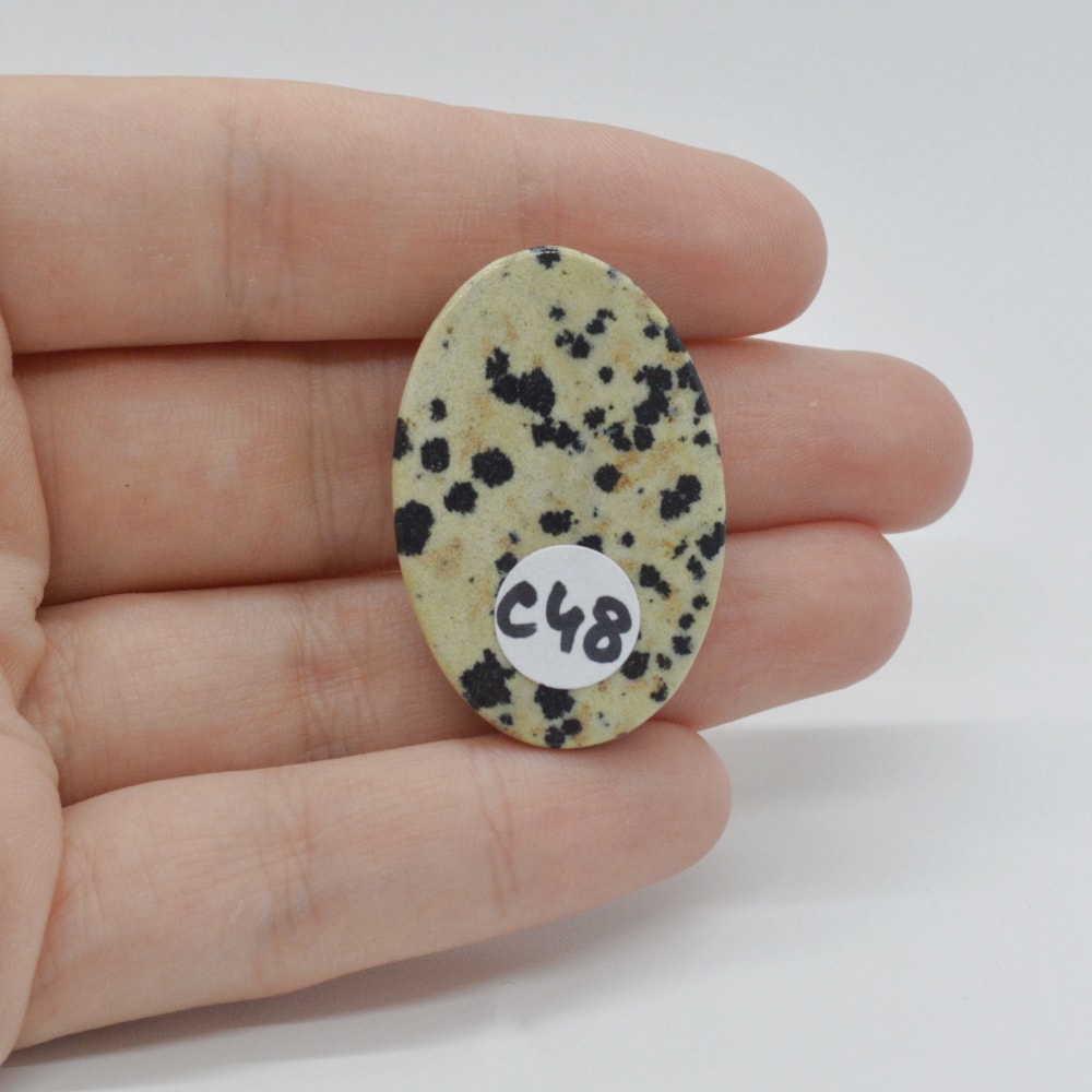 Cabochon jasp dalmatian 35x23x6mm c48 - 1 | YEO