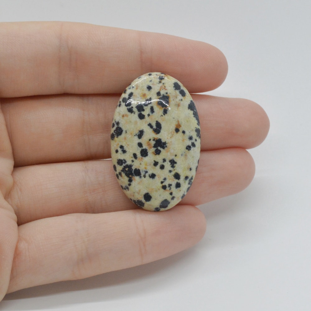 Cabochon jasp dalmatian 35x23x7mm c25