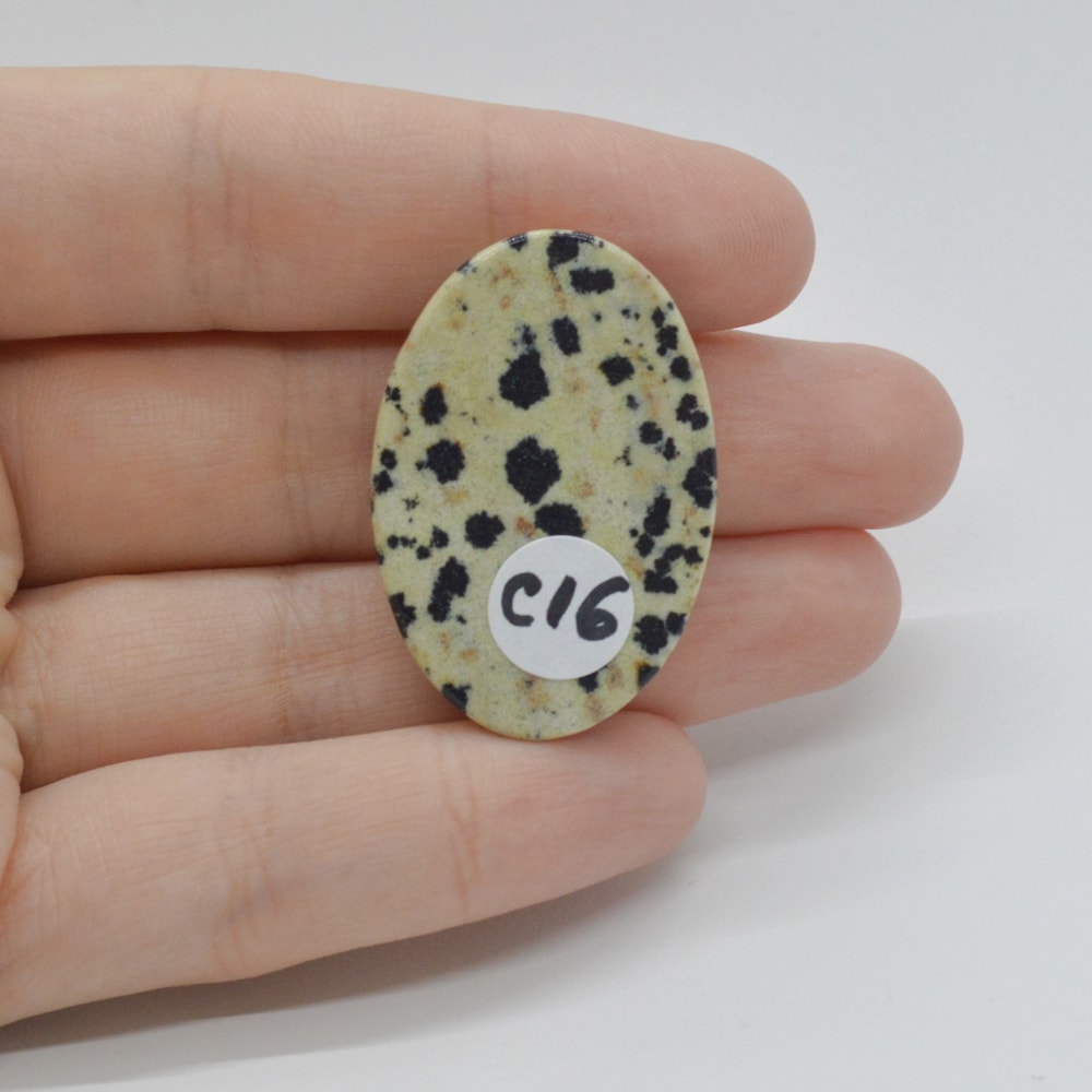 Cabochon jasp dalmatian 35x24x5mm c16 - 1 | YEO