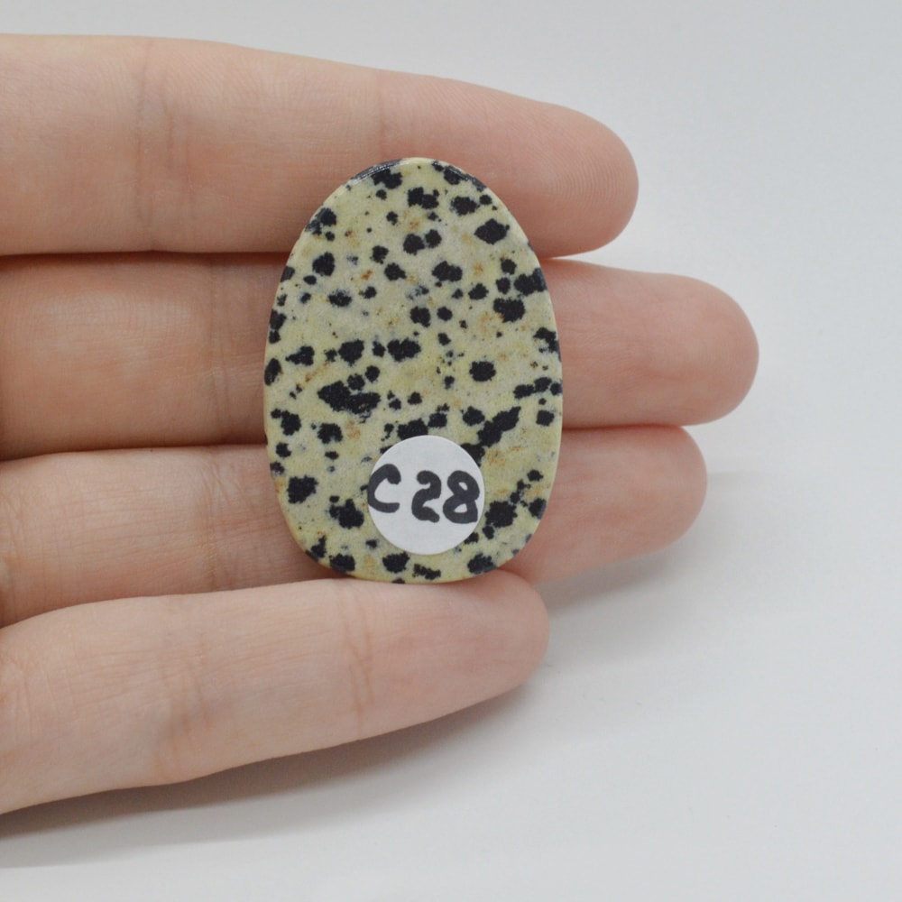 Cabochon jasp dalmatian 36x25x5mm c28 - 1 | YEO