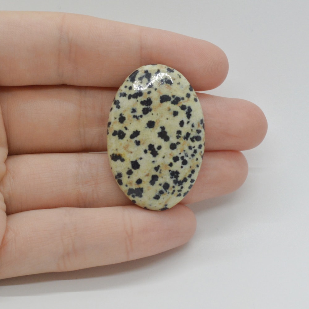 Cabochon jasp dalmatian 37x25x6mm c41