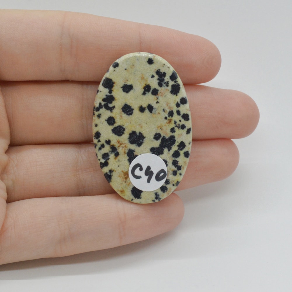 Cabochon jasp dalmatian 40x26x7mm c40 - 1 | YEO