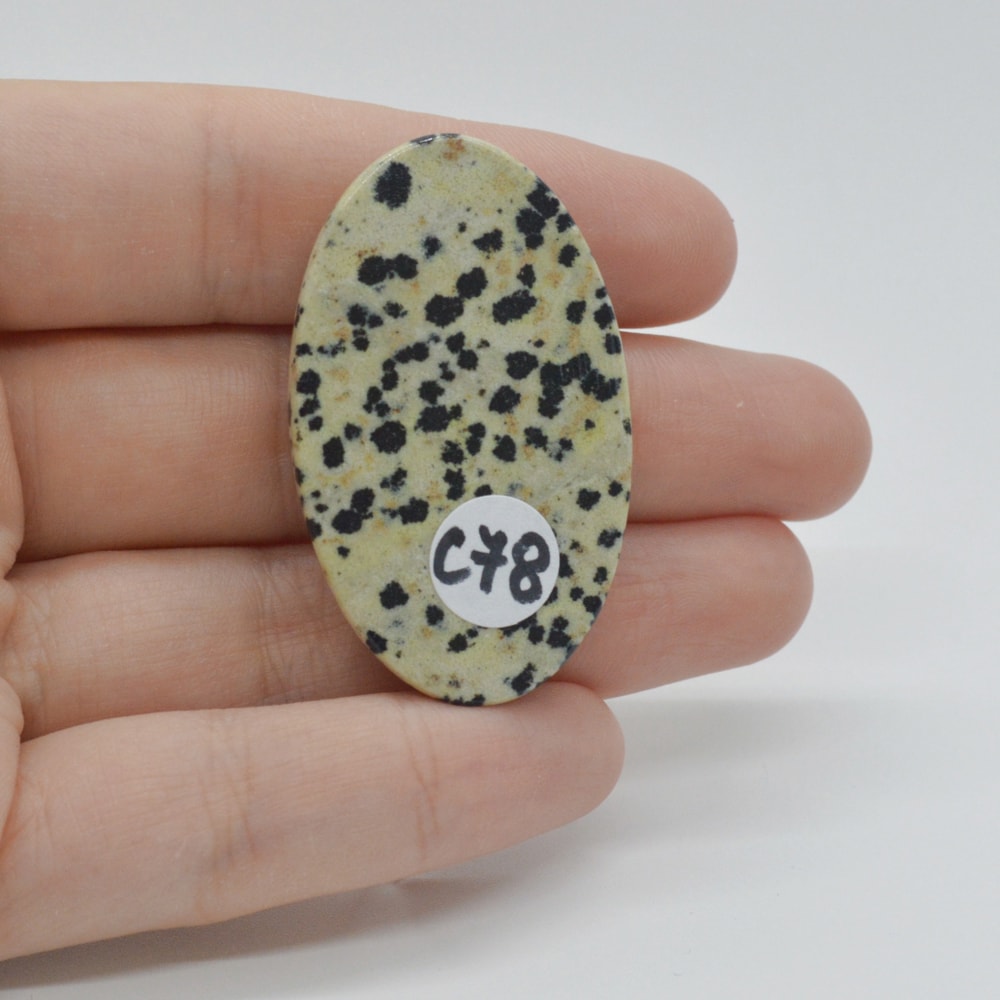 Cabochon jasp dalmatian 43x26x7mm c78 - 1 | YEO