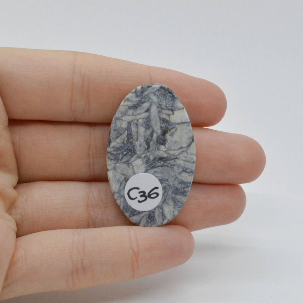 Cabochon pinolith 38x23x6mm c36 - 1 | YEO