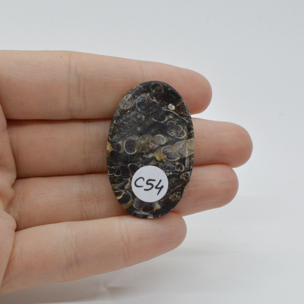 Cabochon agat turitela 37x24x5mm c54 - 1 | YEO