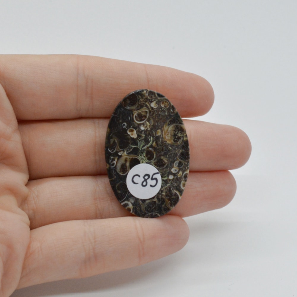 Cabochon agat turitela 37x24x5mm c85 - 1 | YEO