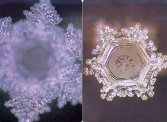 Oracolul cristalelor de apa - masaru emoto manual in romana - 1 | YEO