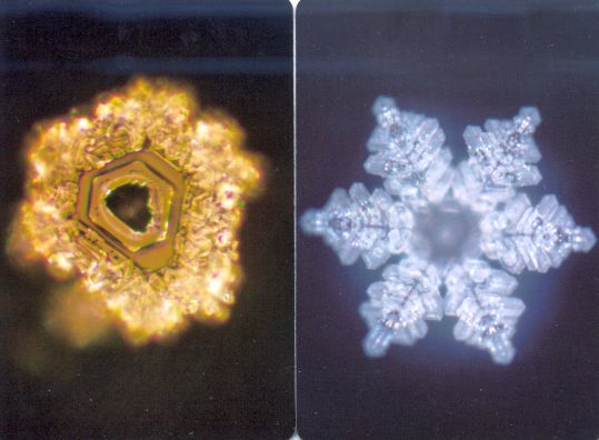 Oracolul cristalelor de apa - masaru emoto manual in romana - 3 | YEO