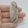 Cabochon Agat Crazy Lace 61x24x6mm C132