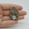 Cabochon Jasp Asteroid 38x26x6mm C57, imagine 2