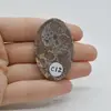 Cabochon Jasp Asteroid 46x29x7mm C12, imagine 2