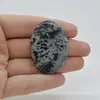 Cabochon Hornblend 44x31x5mm C13