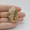 Cabochon Jasp Leopard 41x28x7mm C2