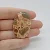 Cabochon Jasp Leopard 42x27x6mm C13