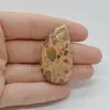 Cabochon Jasp Leopard 43x23x7mm C18