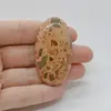 Cabochon Jasp Leopard 51x28x6mm C1