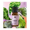 Parfumant Forest, Mayam 10ml, imagine 2