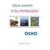 Cand pantofii ti se potrivesc - Osho, carte