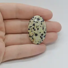 Cabochon Jasp Dalmatian 34x21x6mm C21