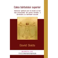 Calea barbatului superior - David Deida, carte