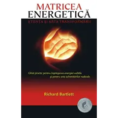 Matricea Energetică - Richard Bartlett, carte