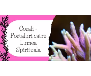Corali - Portaluri catre Lumea Spirituala