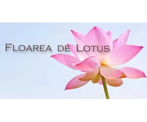 Floarea de Lotus