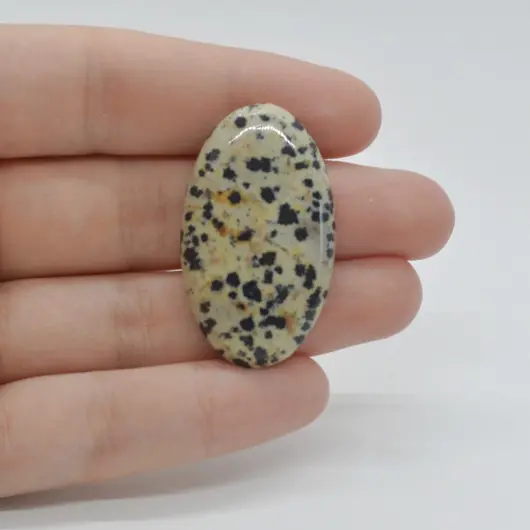 Cabochon Jasp Dalmatian 38x22x6mm C69