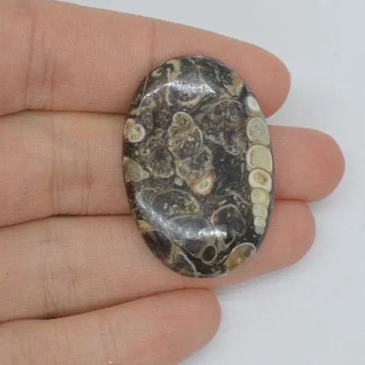 Cabochon agat turitela 36x24x6mm A61